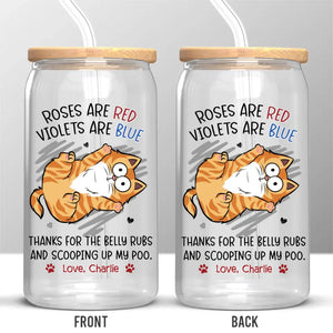 Cats Are Connoisseurs Of Comfort - Cat Personalized Custom Glass Cup, Iced Coffee Cup - Gift For Pet Owners, Pet Lovers