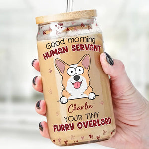 Your Tiny Furry Overlords - Dog & Cat Personalized Custom Glass Cup, Iced Coffee Cup -  Gift For Pet Owners, Pet Lovers