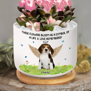 Custom Photo Don't Cry Because It's Over, Smile Because It Happened - Memorial Personalized Custom Home Decor Ceramic Plant Pot - Sympathy Gift For Pet Owners, Pet Lovers