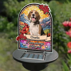 Custom Photo Always With You - Memorial Personalized Custom Garden Solar Light - Sympathy Gift For Family Members, Pet Owners, Pet Lovers