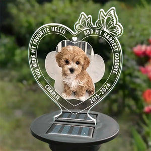 Custom Photo Run Free, Sweet Friend  - Memorial Personalized Custom Garden Solar Light - Sympathy Gift For Pet Owners, Pet Lovers