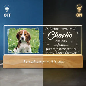 Custom Photo You Left Paw Prints In My Heart Forever - Memorial Personalized Custom Acrylic Letters 3D LED Night Light - Sympathy Gift For Pet Owners, Pet Lovers