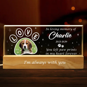 Custom Photo Your Light Will Always Shine In My Heart - Memorial Personalized Custom Acrylic Letters 3D LED Night Light - Sympathy Gift For Pet Owners, Pet Lovers