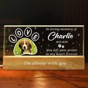 Custom Photo Your Light Will Always Shine In My Heart - Memorial Personalized Custom Acrylic Letters 3D LED Night Light - Sympathy Gift For Pet Owners, Pet Lovers