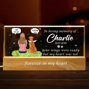 No Longer By Our Sides But Forever In Our Hearts		- Memorial Personalized Custom Acrylic Letters 3D LED Night Light - Sympathy Gift For Pet Owners, Pet Lovers