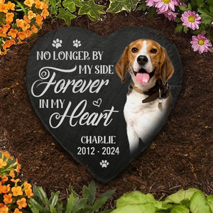 Custom Photo Always In My Thoughts - Memorial Personalized Custom Heart Shaped Memorial Stone - Sympathy Gift For Pet Owners, Pet Lovers