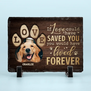 Custom Photo You Have Left Pawprints On Our Hearts - Memorial Personalized Custom Rectangle Shaped Stone With Stand - Sympathy Gift For Pet Owners, Pet Lovers