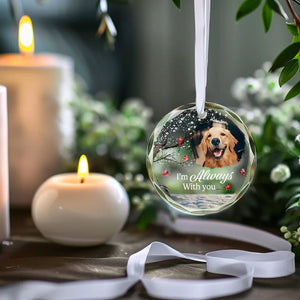 Custom Photo A Companion Is Gone, But The Memory Lives On - Memorial Personalized Custom Circle Glass Ornament - Sympathy Gift For Pet Owners, Pet Lovers