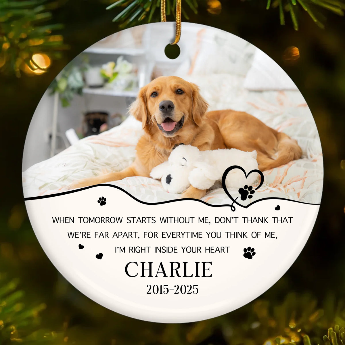 BG-TOP-PREVIEW-DS-SANG